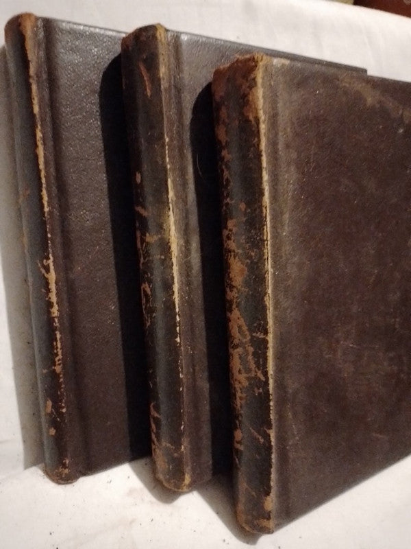 Los amores de Napoleón 3 tomos / Petithuguenin, Jean