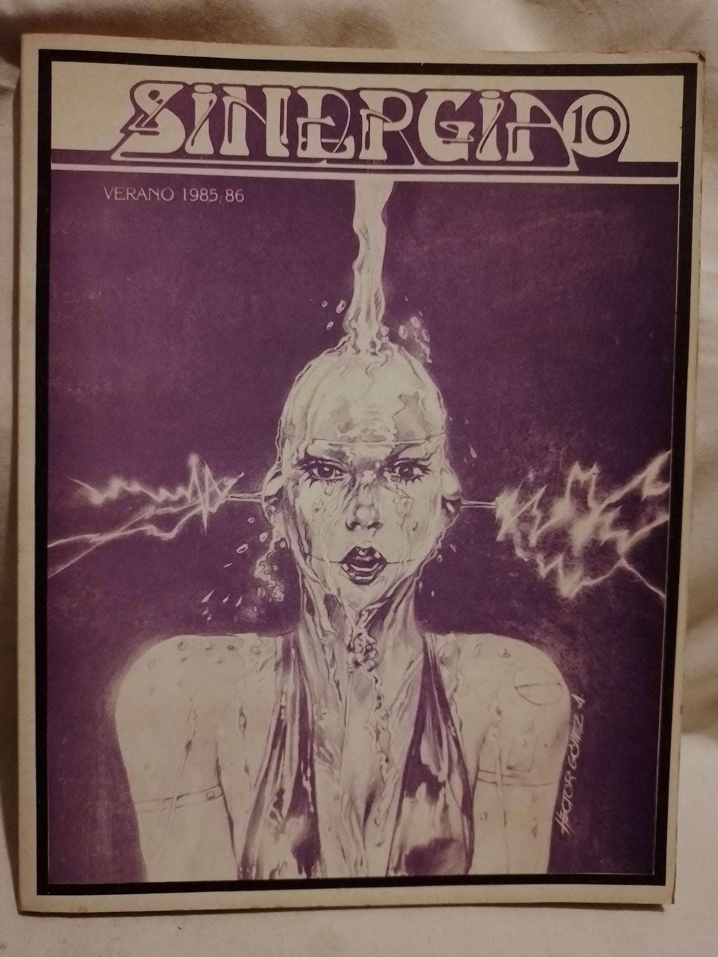 Revista Sinergia Nº 10 - Henderson, Souto, Gaut Vel Hartman y otros