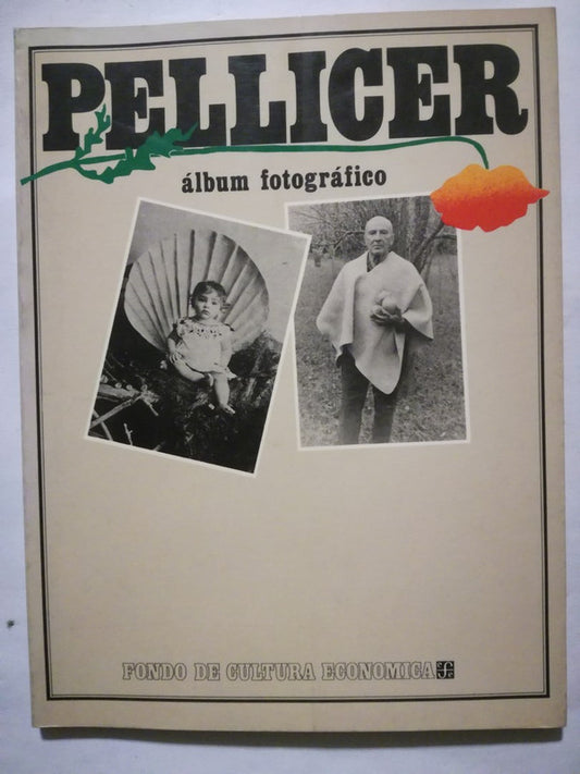 Álbum Fotográfico Pellicer