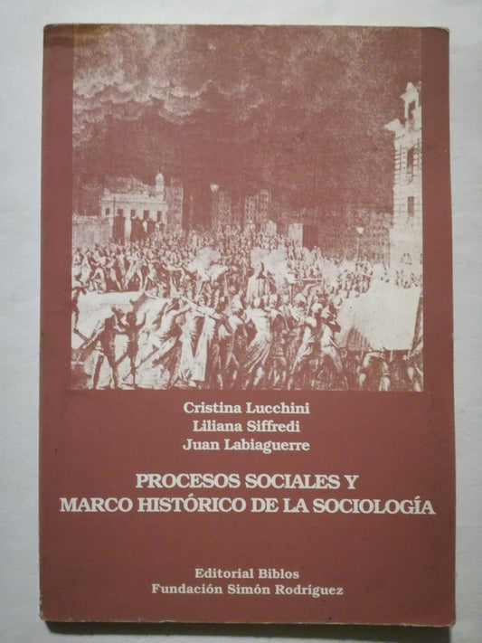 Procesos Sociales Y Marco Histórico Sociología Lucchini