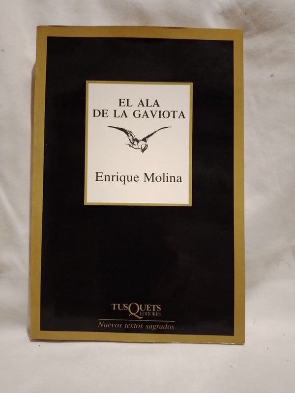 El ala de la gaviota / Molina, Enrique