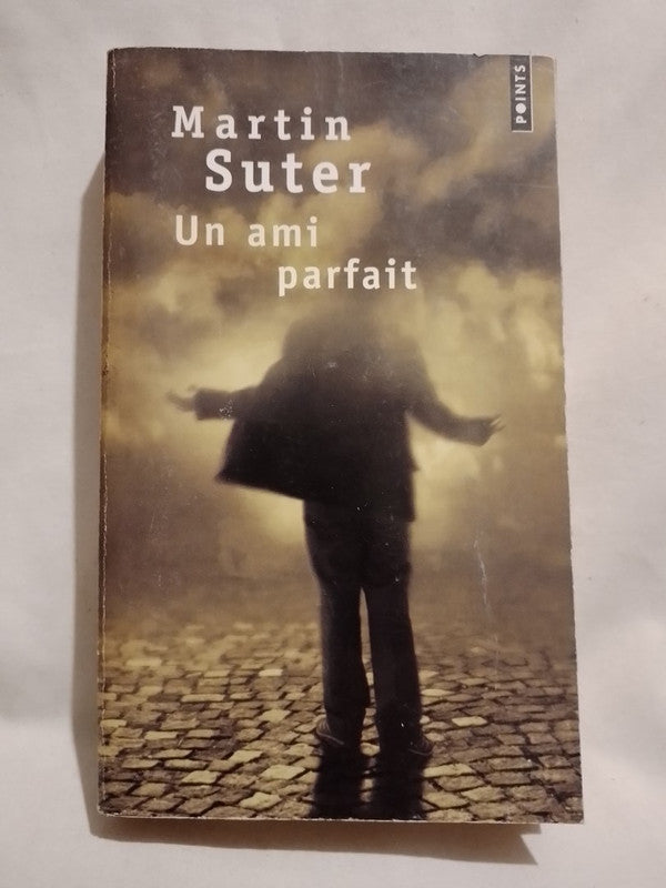 Un ami parfait / Suter, Martin