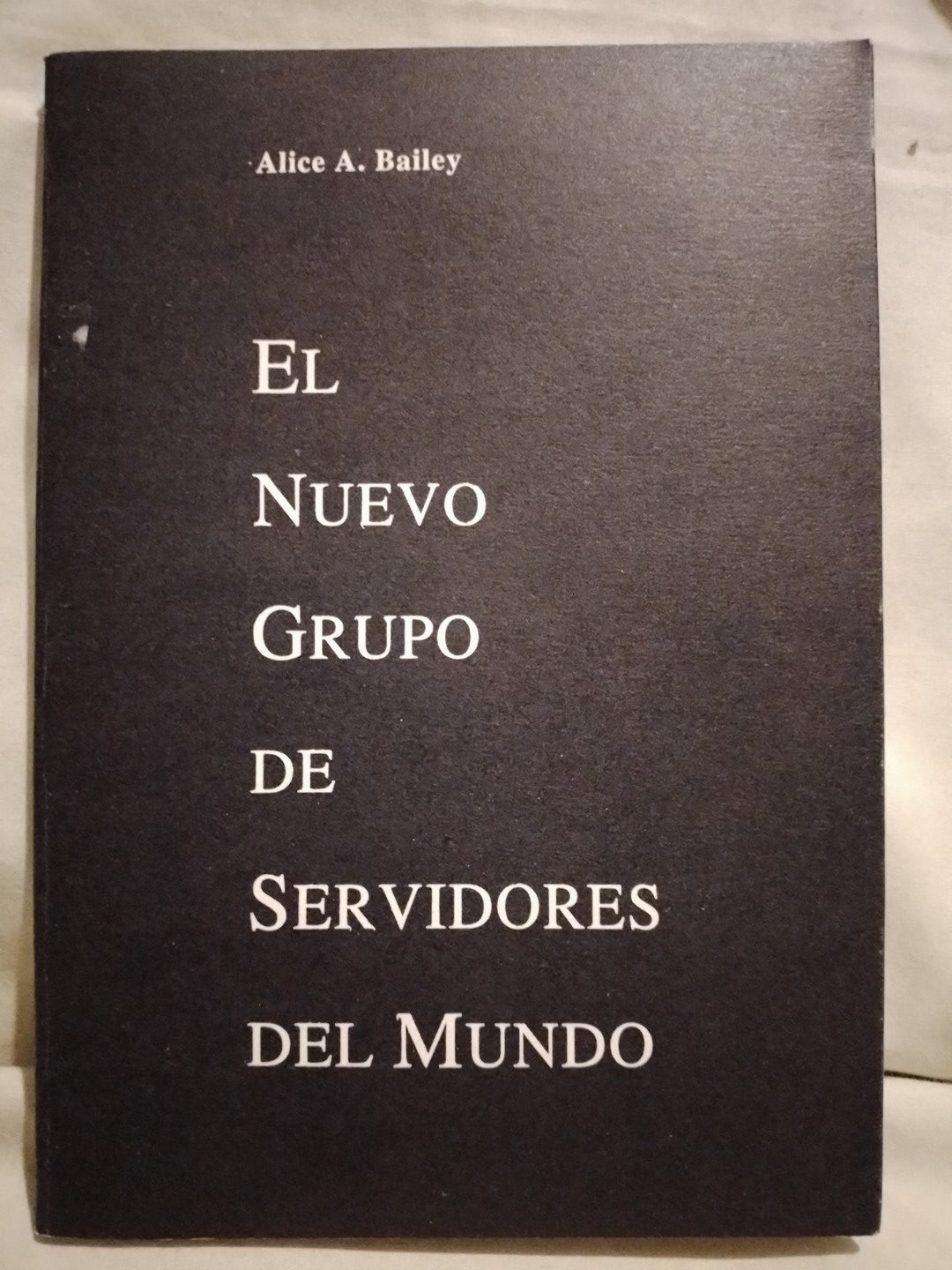 El nuevo grupo de Servidores del Mundo / Bailey, Alice