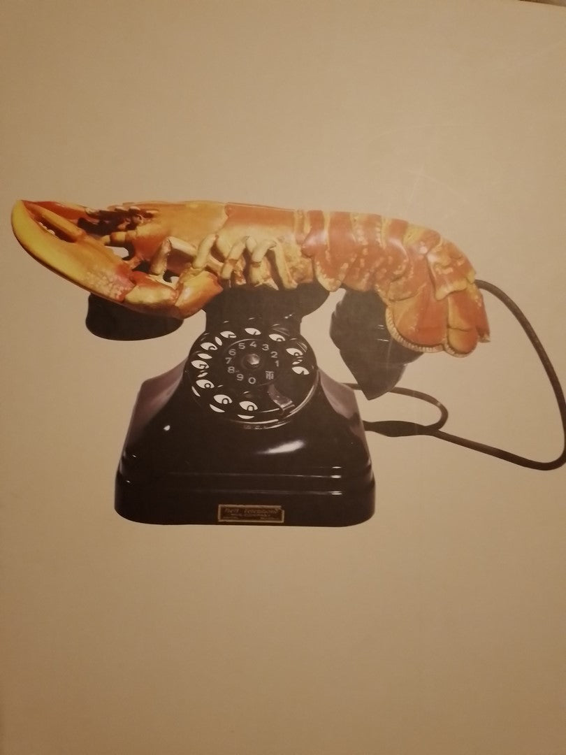 Los tesoros de Salvador Dalí - Montse Aguer