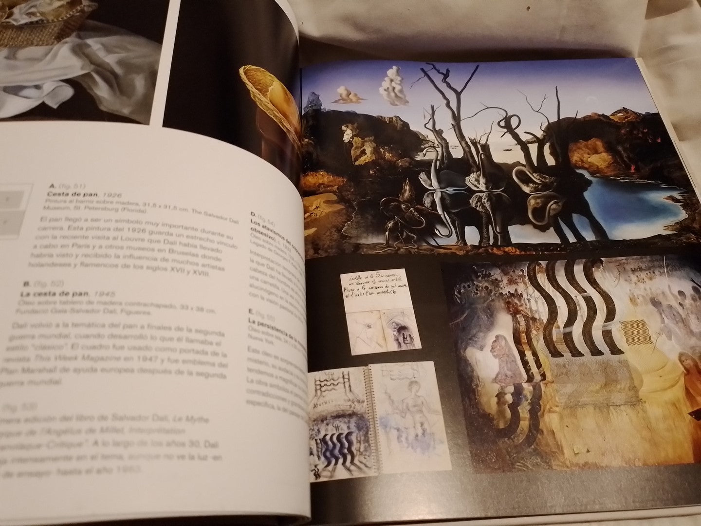 Los tesoros de Salvador Dalí - Montse Aguer