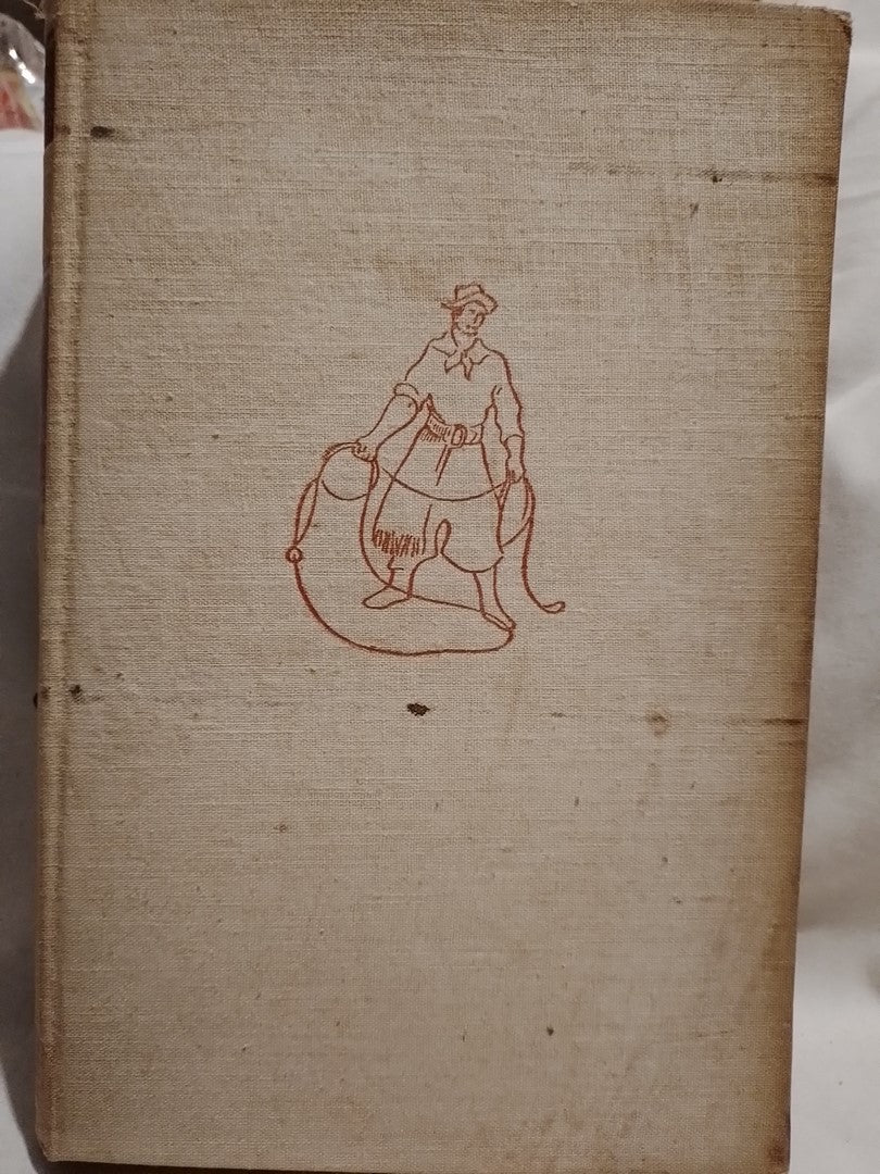 Nuevas coplas de Martín Fierro - María de Villarino