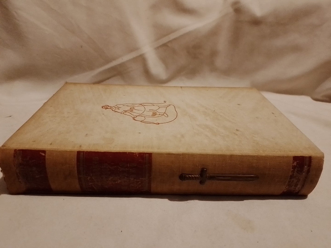 Vocabulario y frases de Martín Fierro - Francisco Castro