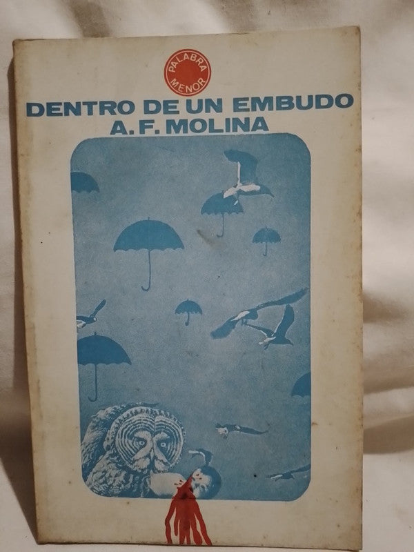 Dentro de un embudo / Molina, A.F.
