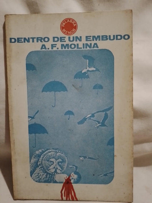 Dentro de un embudo / Molina, A.F.