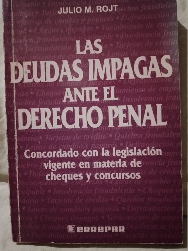 Las Deudas Impagas ante el Derecho Penal / Rojt, Julio M.