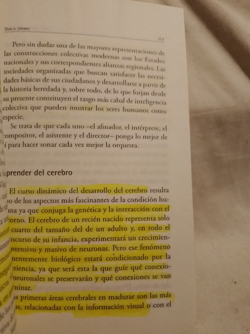Usar el cerebro / Manes, Facundo (Saldo)