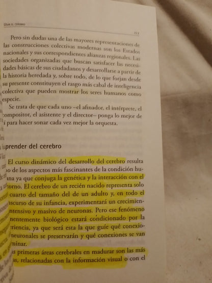 Usar el cerebro / Manes, Facundo (Saldo)