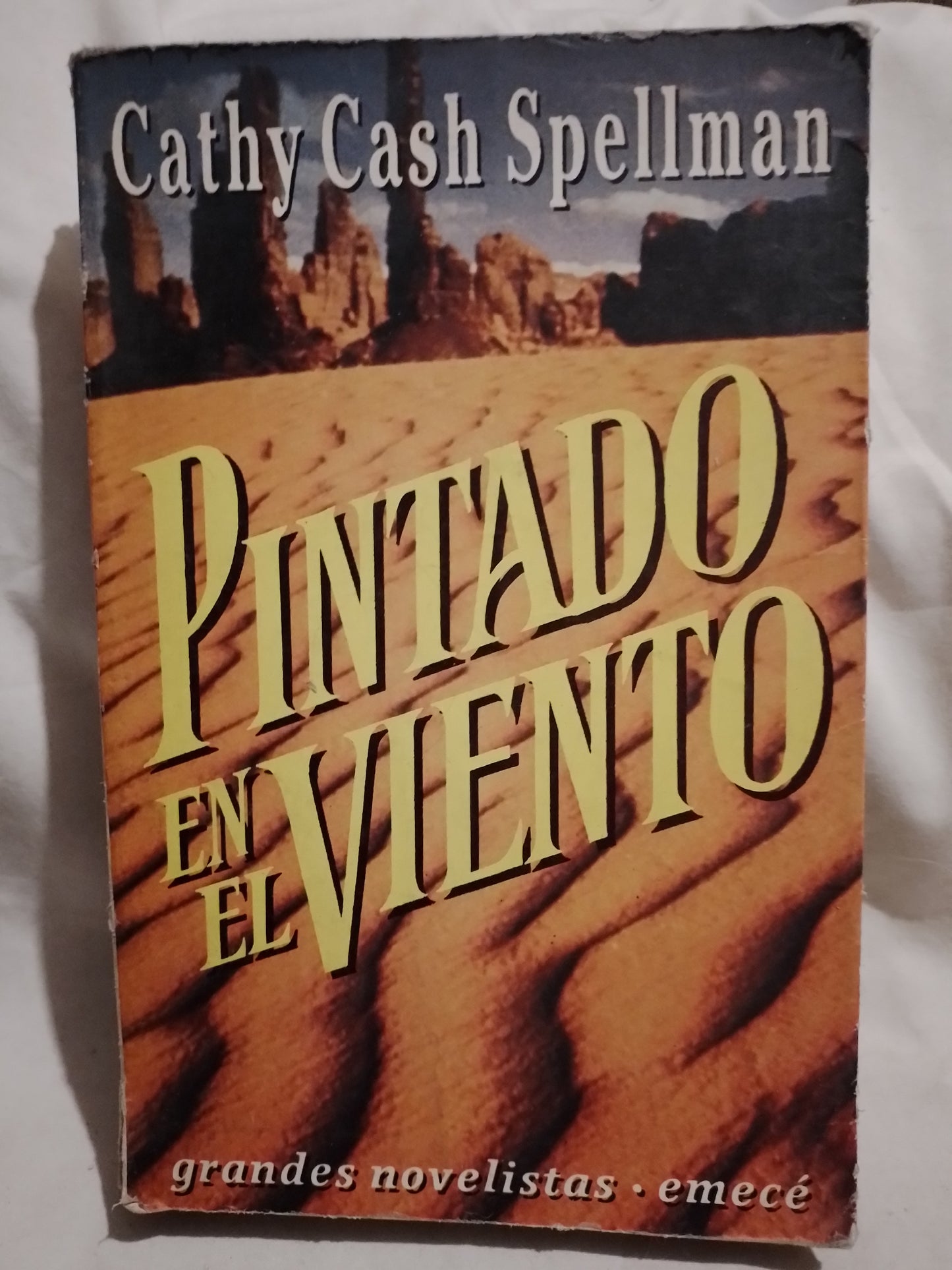 Pintado en el viento / Cash Spellman, Cathy (Saldo)